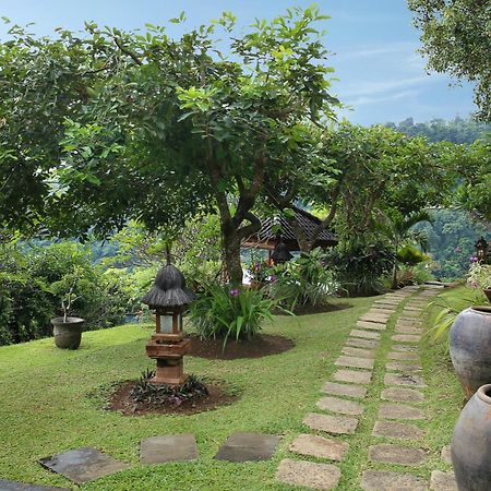 Villa Patria Lovina  Exterior photo